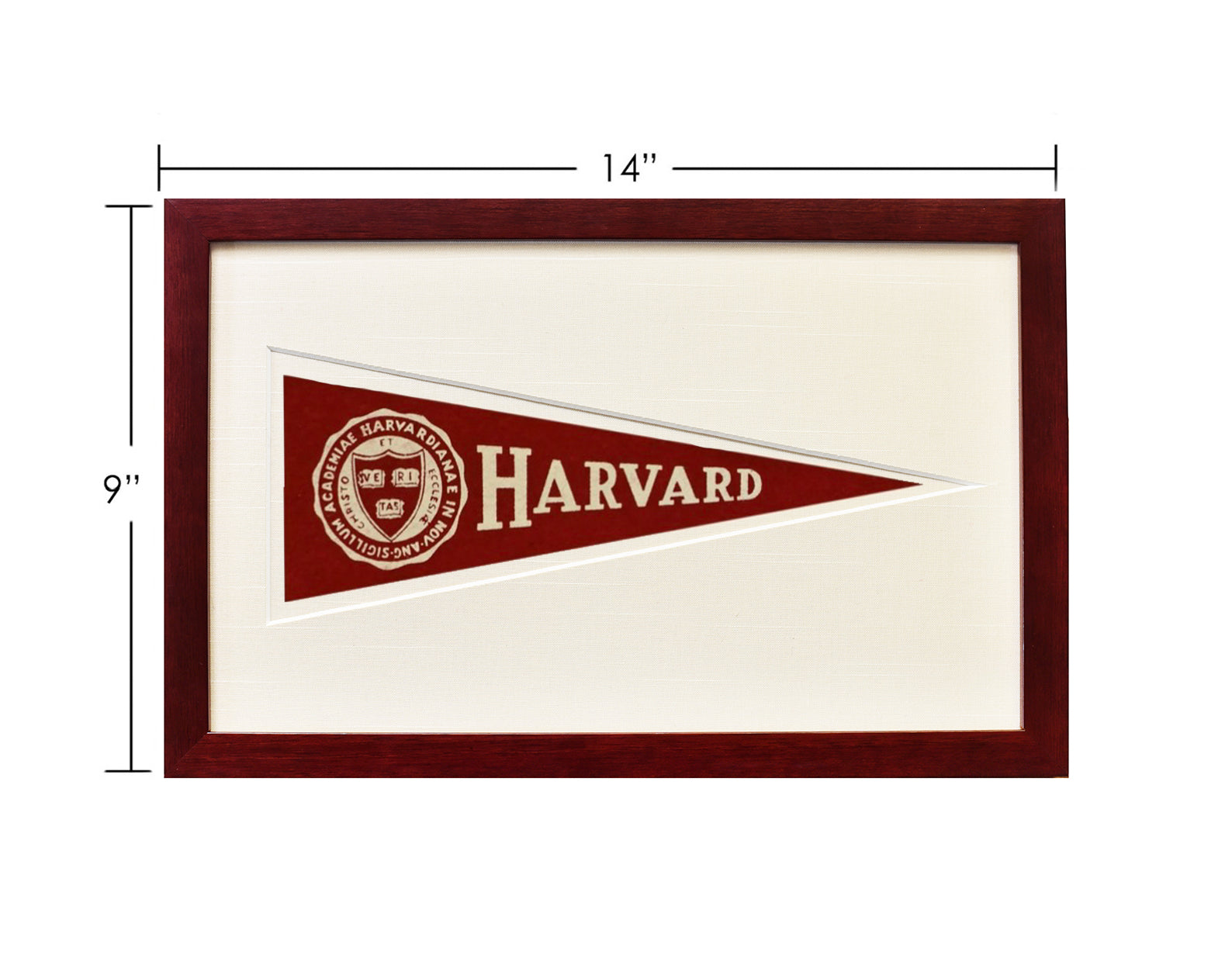 Vintage Harvard University Hormel Pennant