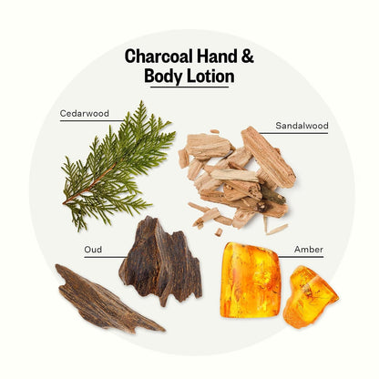 APOTHEKE Lotions Charcoal Lotion