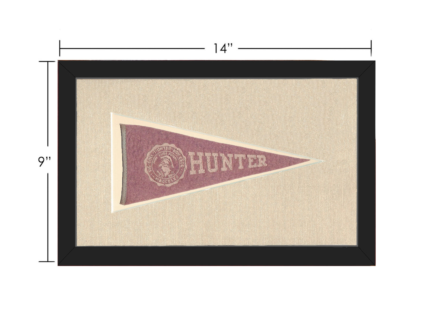 Vintage Hunter College Pennant