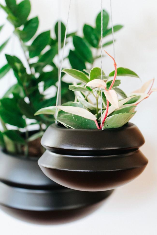 Carter + Rose Hanging Planter