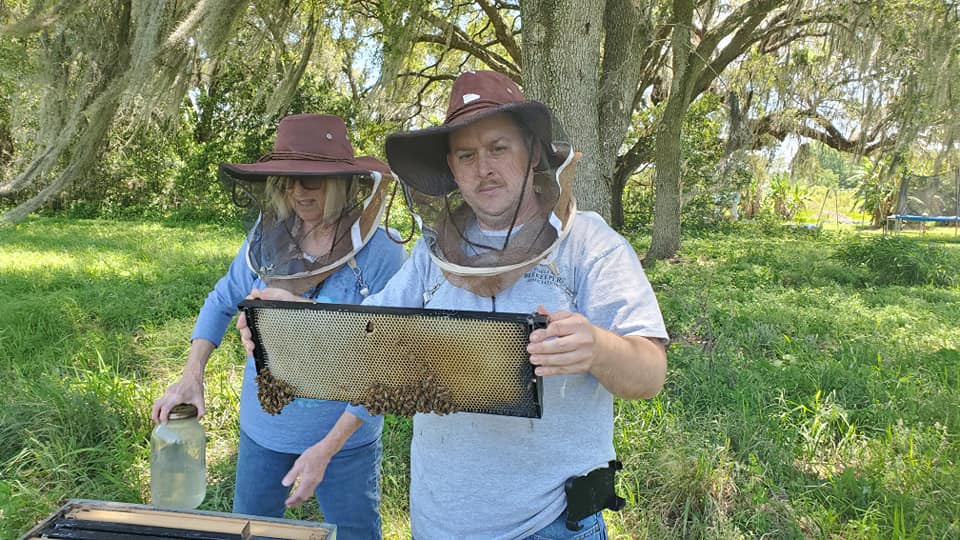 Lavender Honey