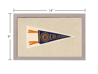 Vintage University of California Pennant