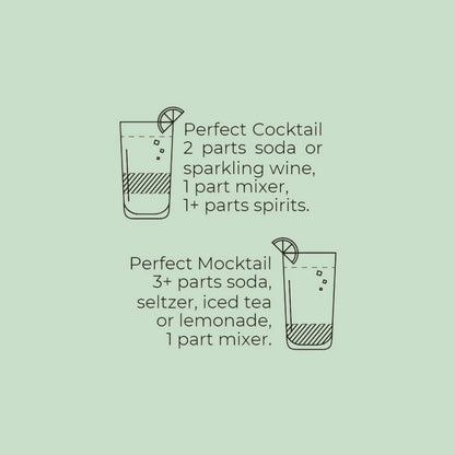 Grapefruit &amp; Rosemary Cocktail-Mocktail Mixer, 16 fl oz - My American Goods