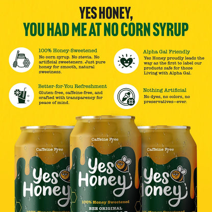 Bee Original Ginger Ale Soda Alternative