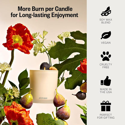 Fig and Olive Leaf Petite Candle