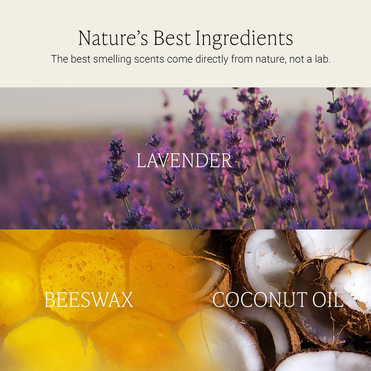 Lavender Wax Melts