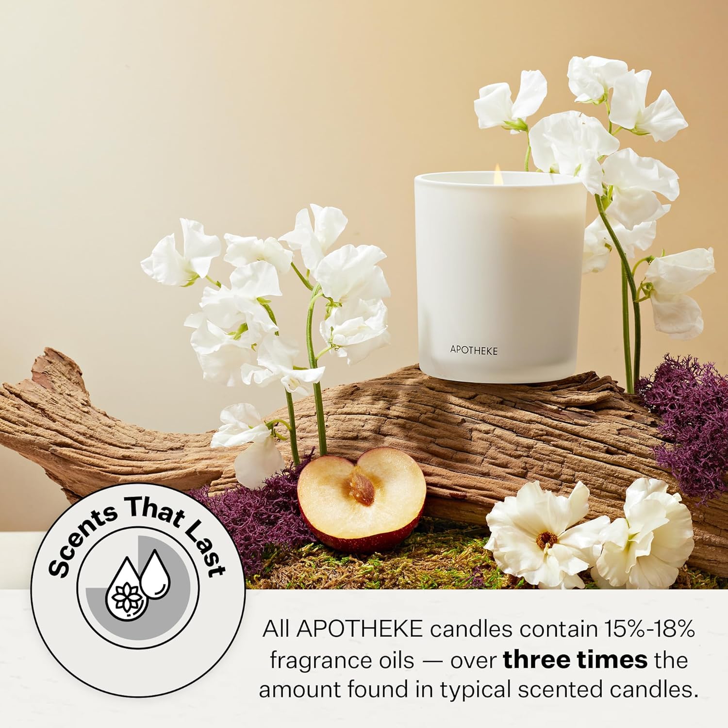 Fig and Olive Leaf Petite Candle