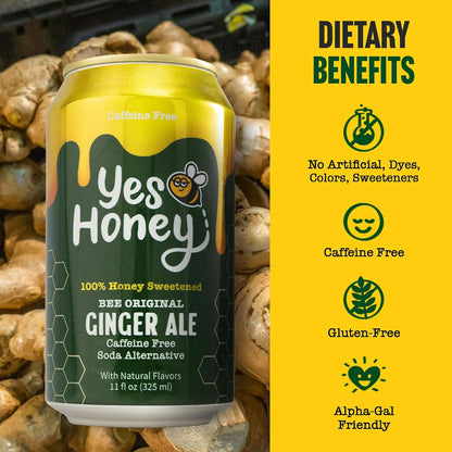 Bee Original Ginger Ale Soda Alternative