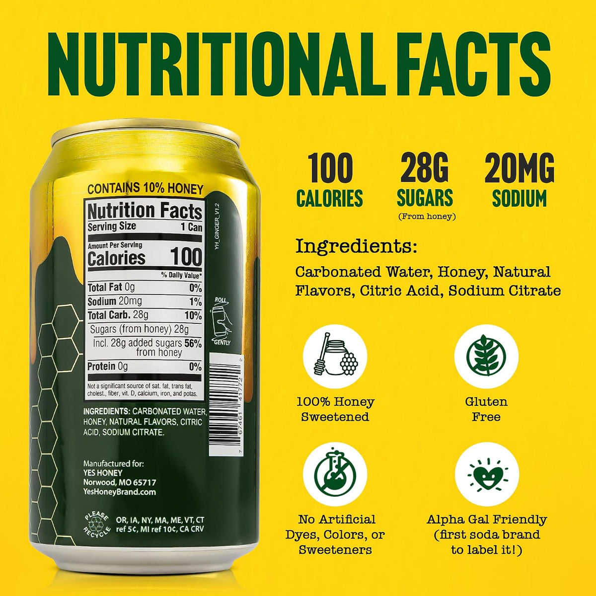 Bee Original Ginger Ale Soda Alternative