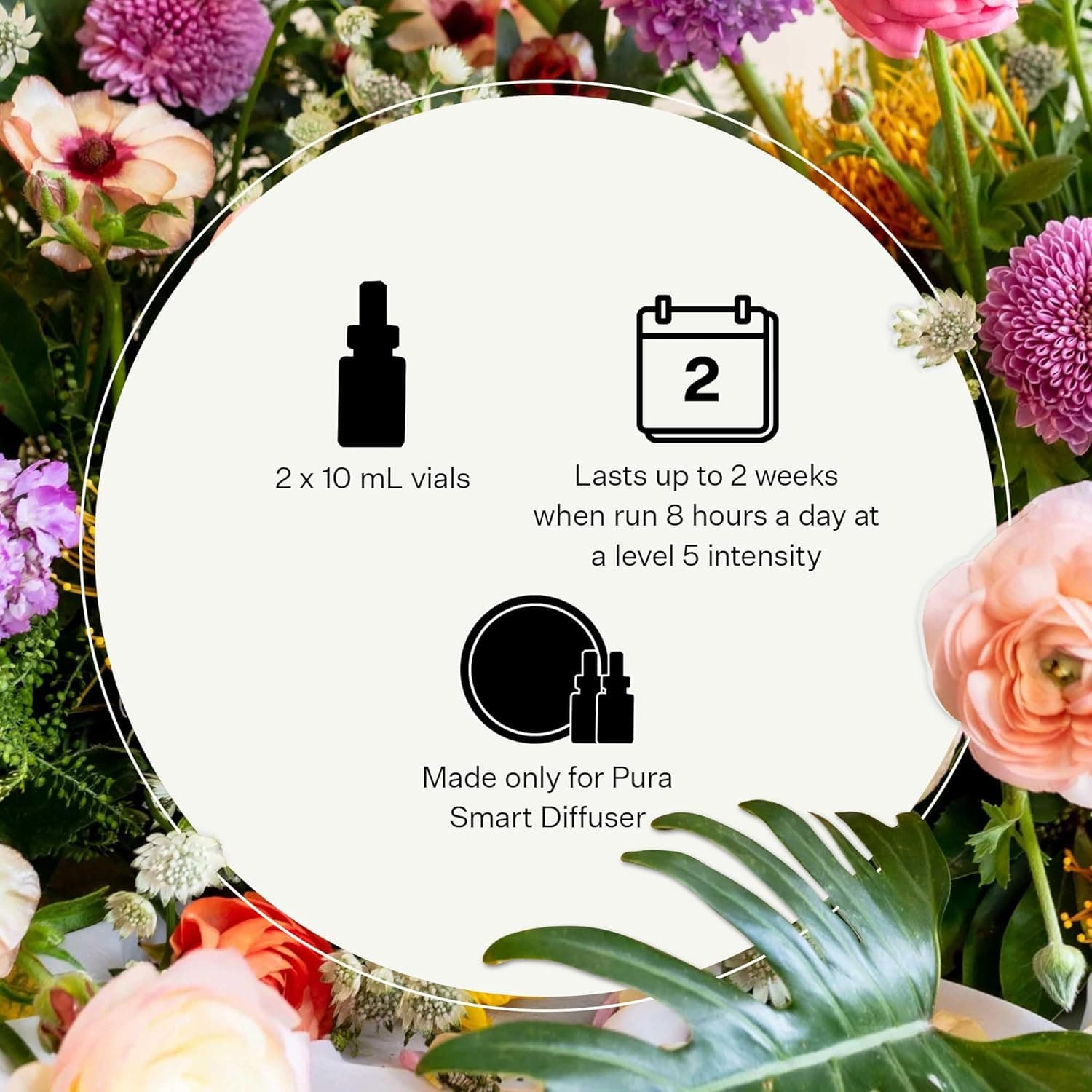 APOTHEKE Pura Smart Home Single Refills Charcoal Pura Smart Scent Fragrance Refill, Set of 2