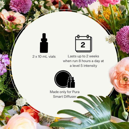 APOTHEKE Pura Smart Home Single Refills Charcoal Pura Smart Scent Fragrance Refill, Set of 2