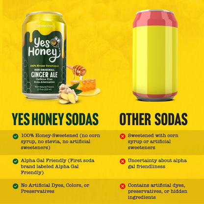 Bee Original Ginger Ale Soda Alternative