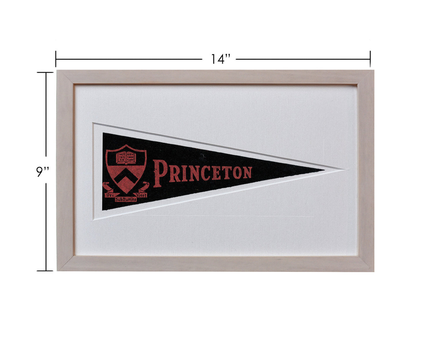 Vintage Princeton University Hormel Pennant