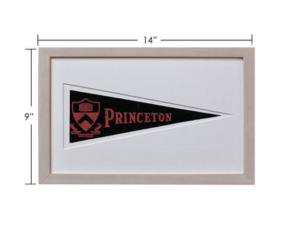 Vintage Princeton University Hormel Pennant