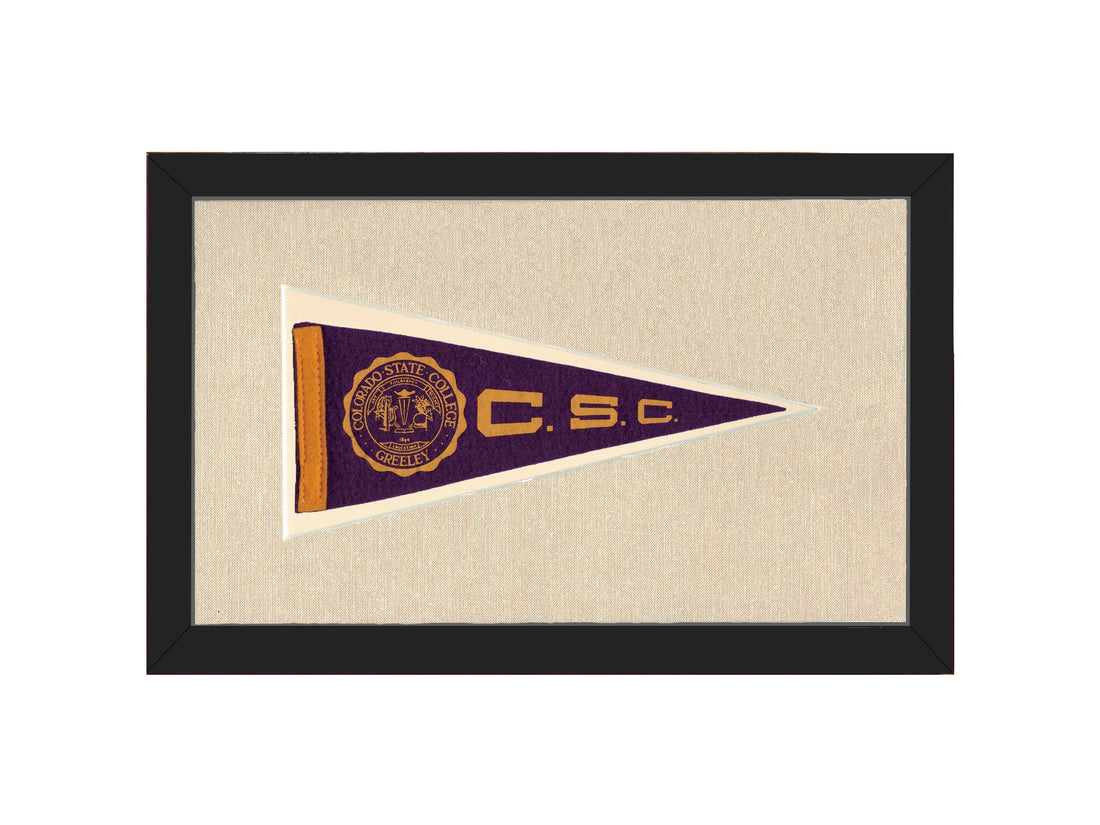 Vintage Colorado State College Pennant