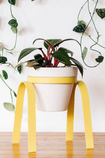 Carter + Rose Electric Yellow / Porcelain Metal Plant Stand with Pot