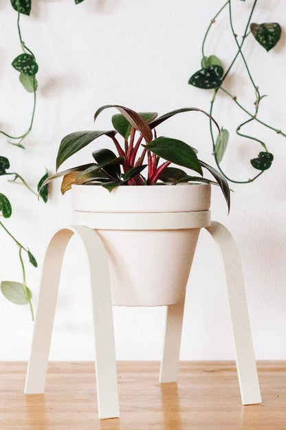 Carter + Rose Ivory / Porcelain Metal Plant Stand with Pot
