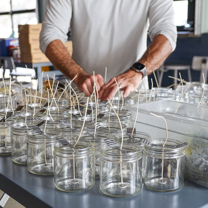 Lady May Seasonal Tallow &amp; Beeswax Candle