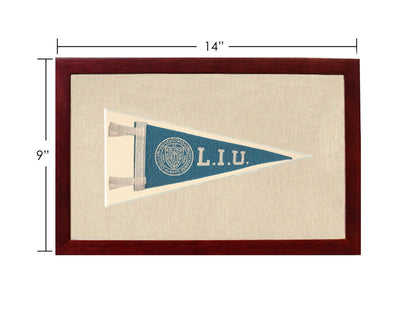Vintage Long Island University Pennant