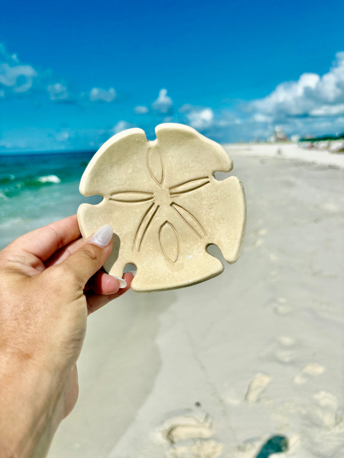 Ceramic Sand Dollar Ring Dish - My American Goods