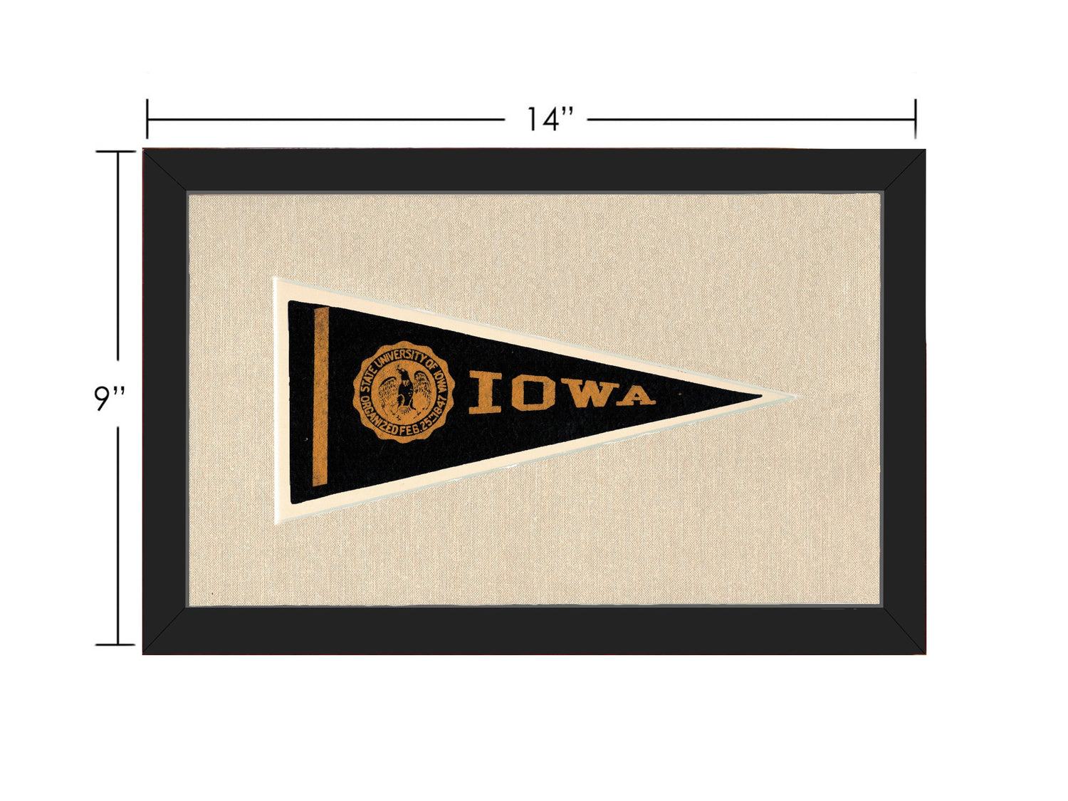Vintage University of Iowa Pennant