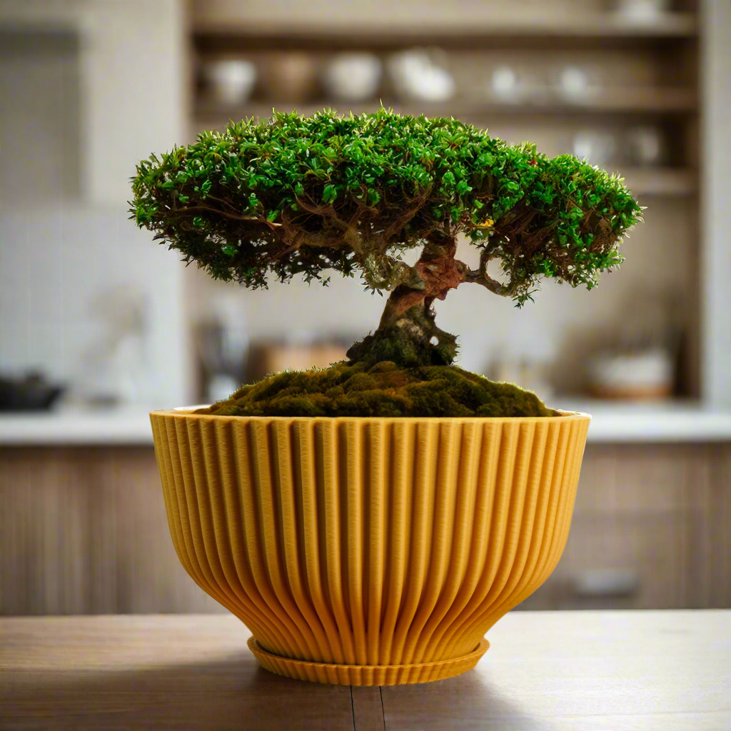Bonsai Pot with Drainage &amp; Tray - My American Goods