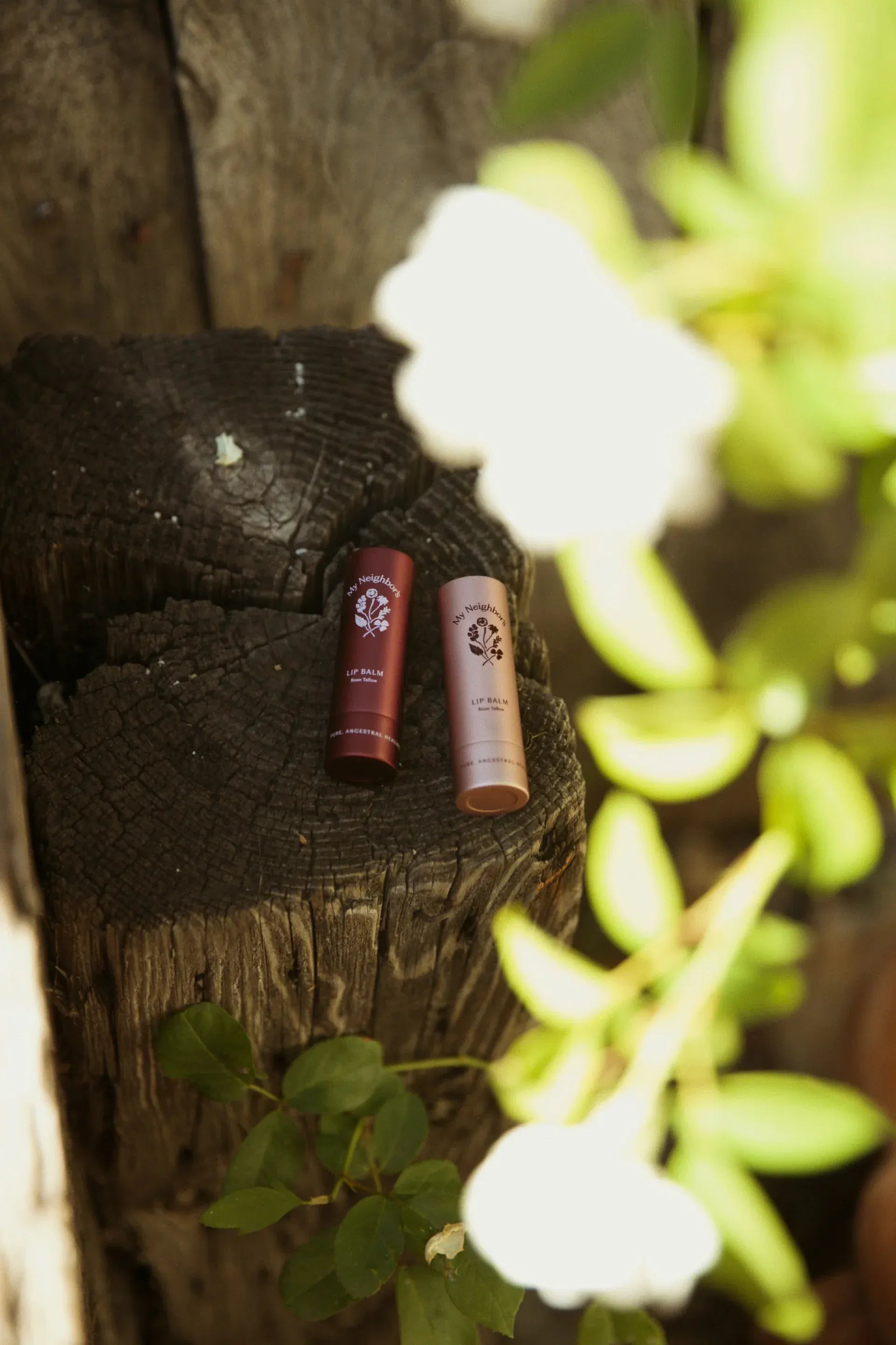 Rose Tallow Lip Balm (tinted)