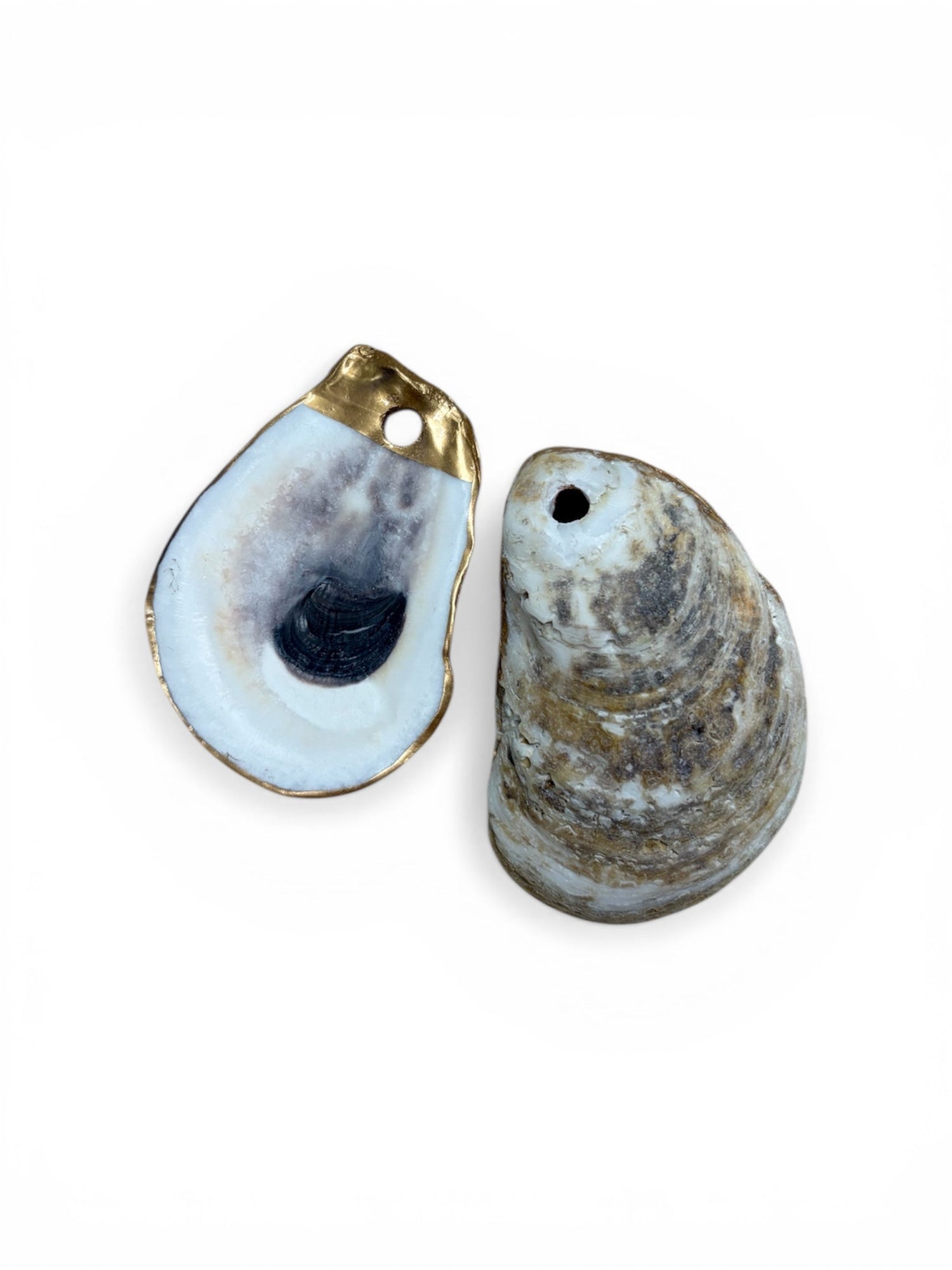 Citrus &amp; Sunrays Upcycled Salt Soak (with oyster shell ornament)