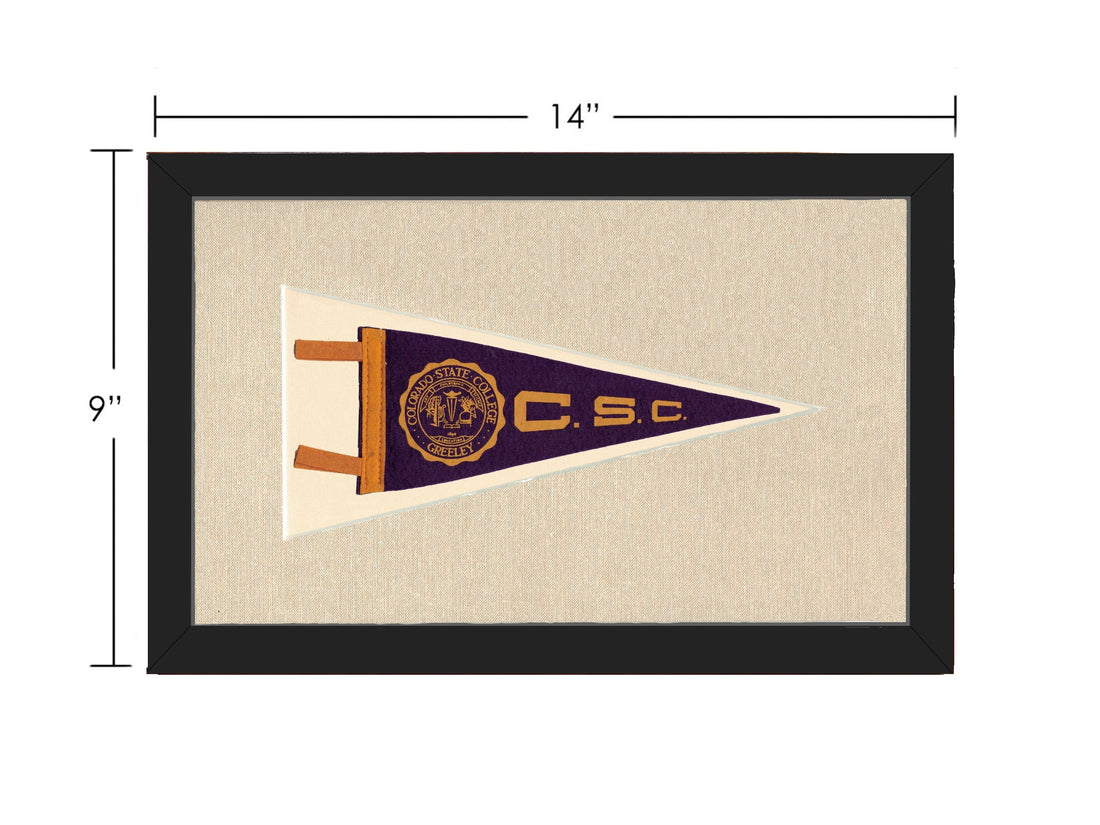 Americana Memories Vintage Pennants and Memorabilia Vintage Colorado State College Pennant