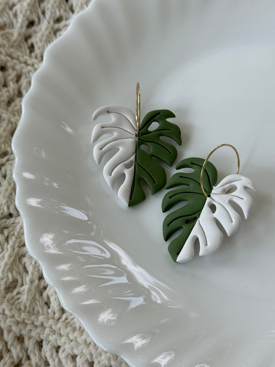 Variegated Monstera