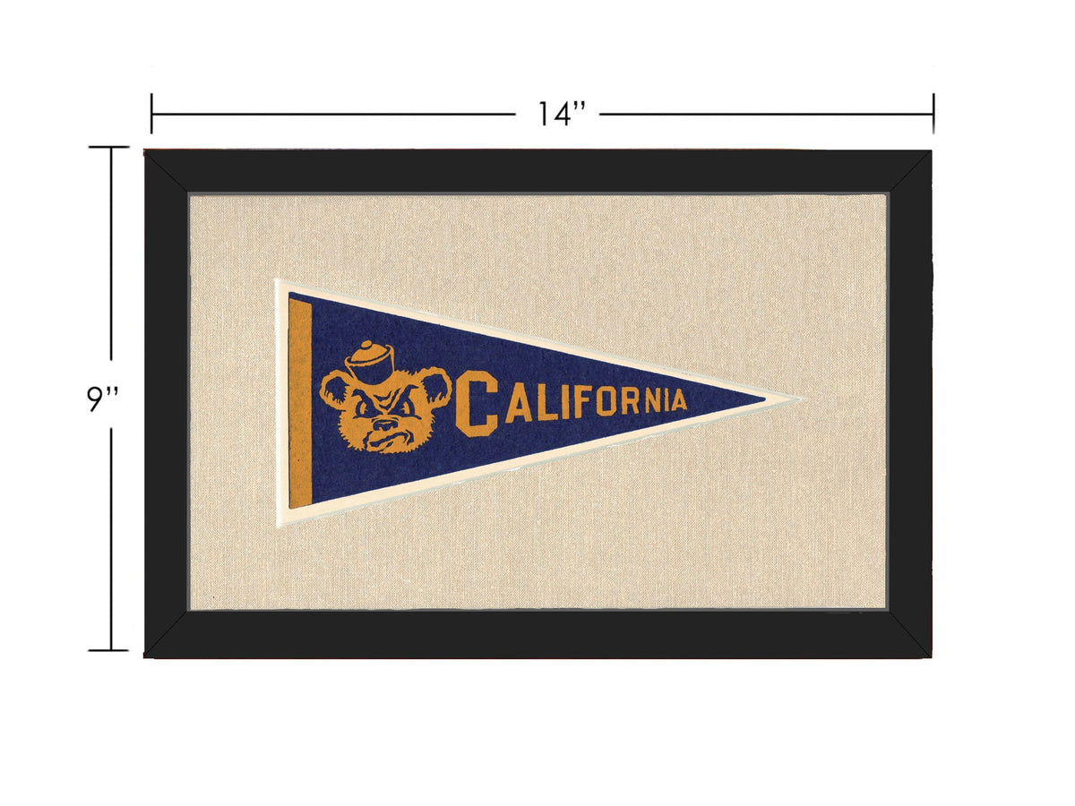 Americana Memories Vintage Pennants and Memorabilia Vintage University of California Pennant