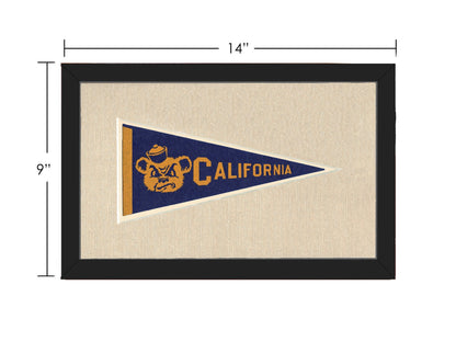Americana Memories Vintage Pennants and Memorabilia Vintage University of California Pennant
