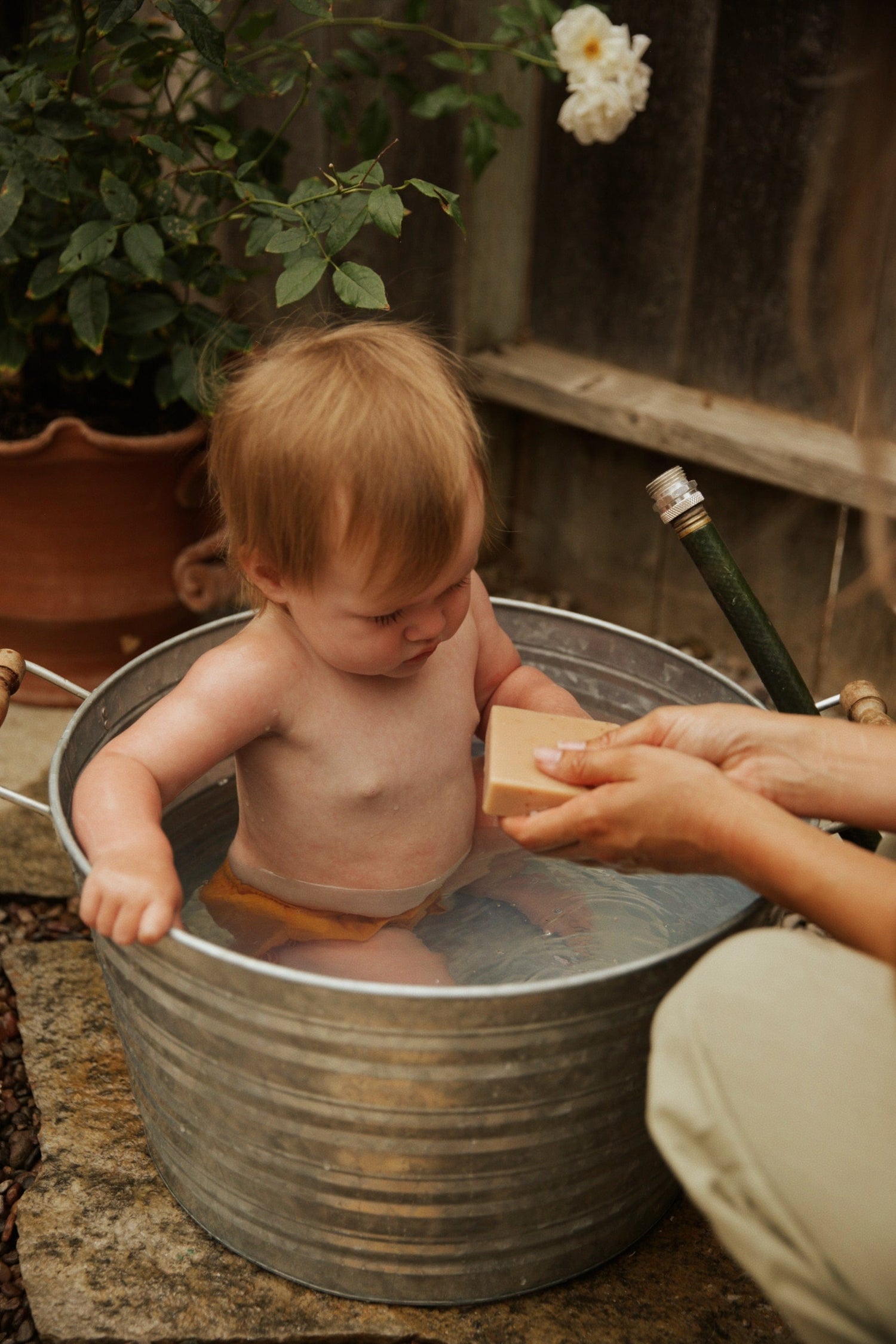 My Neighbor’s Tallow Soap Bambino Tallow Soap