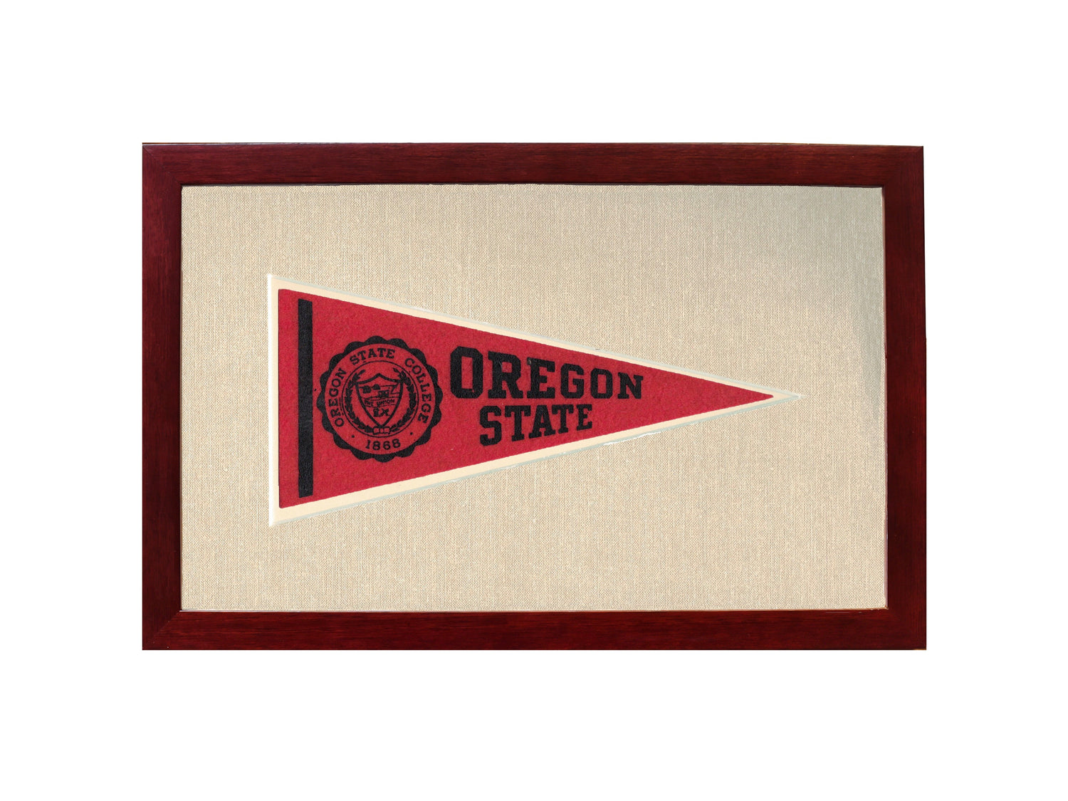 Vintage Michigan State Pennant