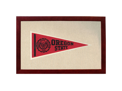 Vintage Michigan State Pennant