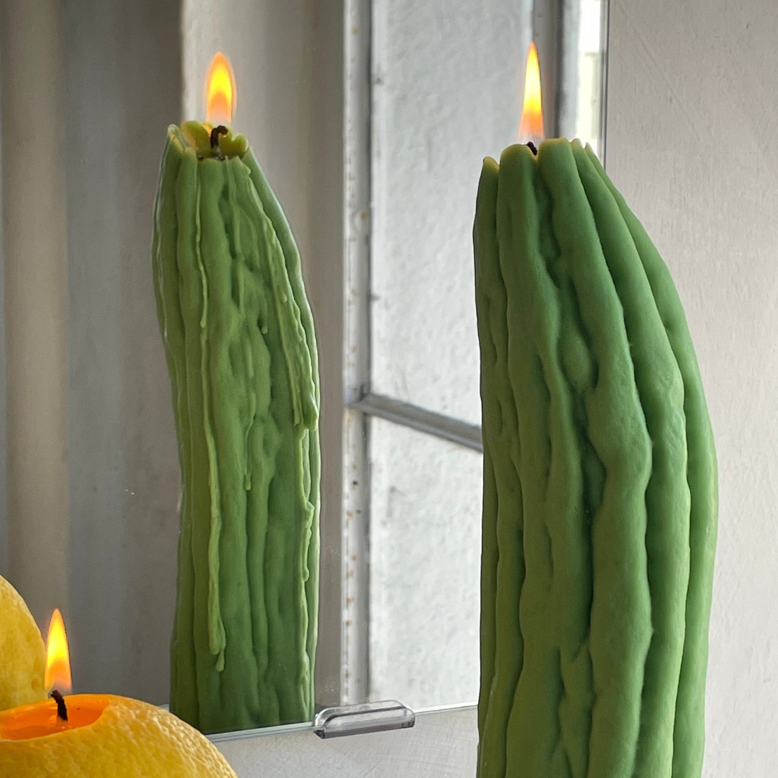 Scandles Farmers Markets Green / Melon / Single Bitter Melon Bitter Melon Candle
