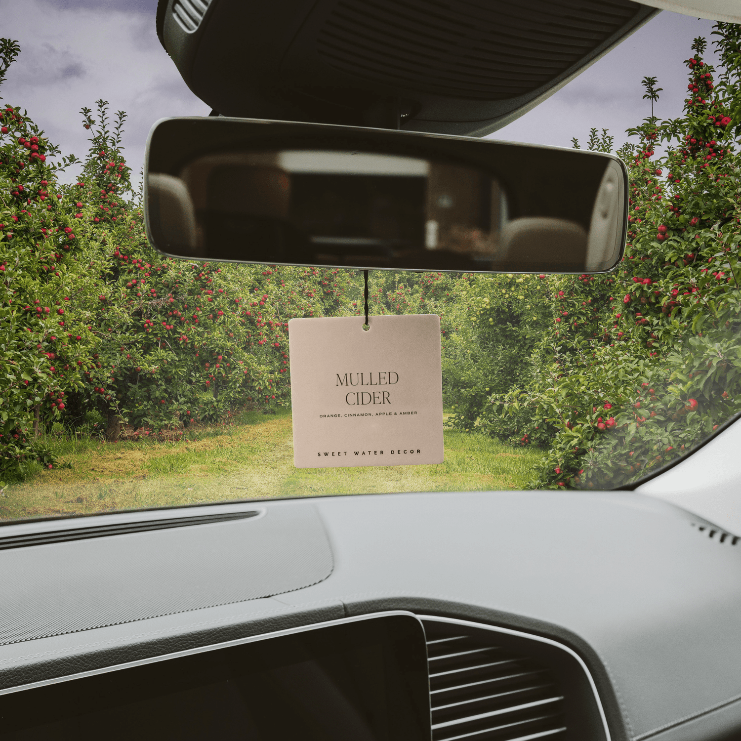 Mulled Cider Hanging Air Freshener