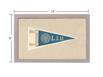 Vintage Long Island University Pennant