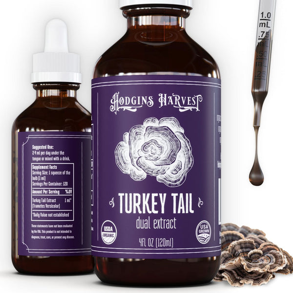 Turkey Tail Dual Extract Tincture - My American Goods