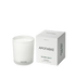APOTHEKE Classic Candles Wild Mint and Ivy Classic Candle