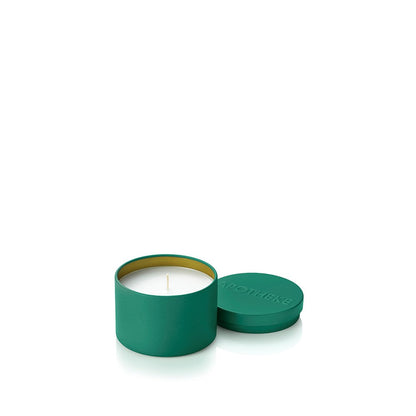 Wild Mint and Ivy Mini Tin Candle