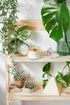 Abundance Candle – Hand-Poured Soy Ritual Candle - My American Goods