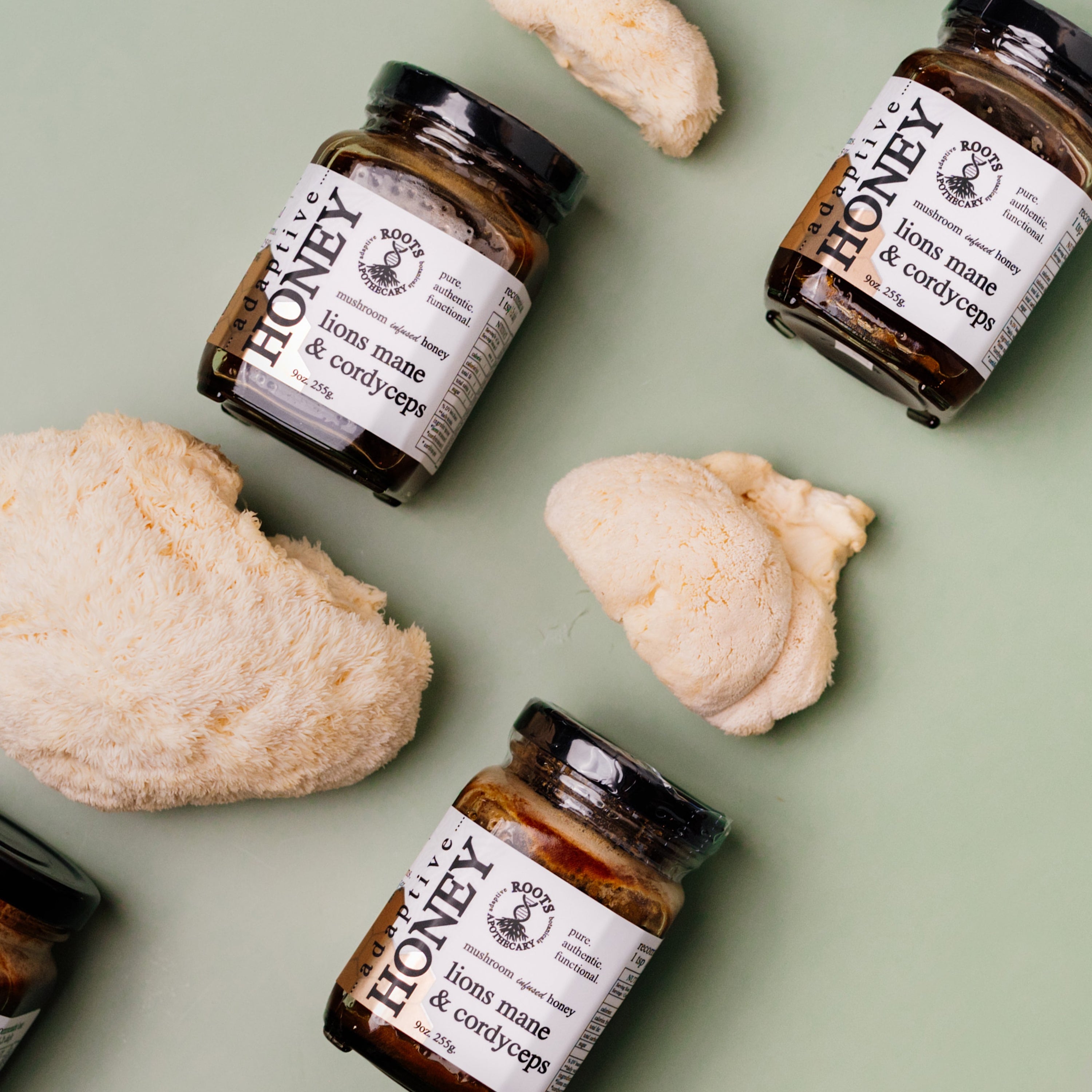 Lion’s Mane &amp; Cordyceps Mushroom Honey