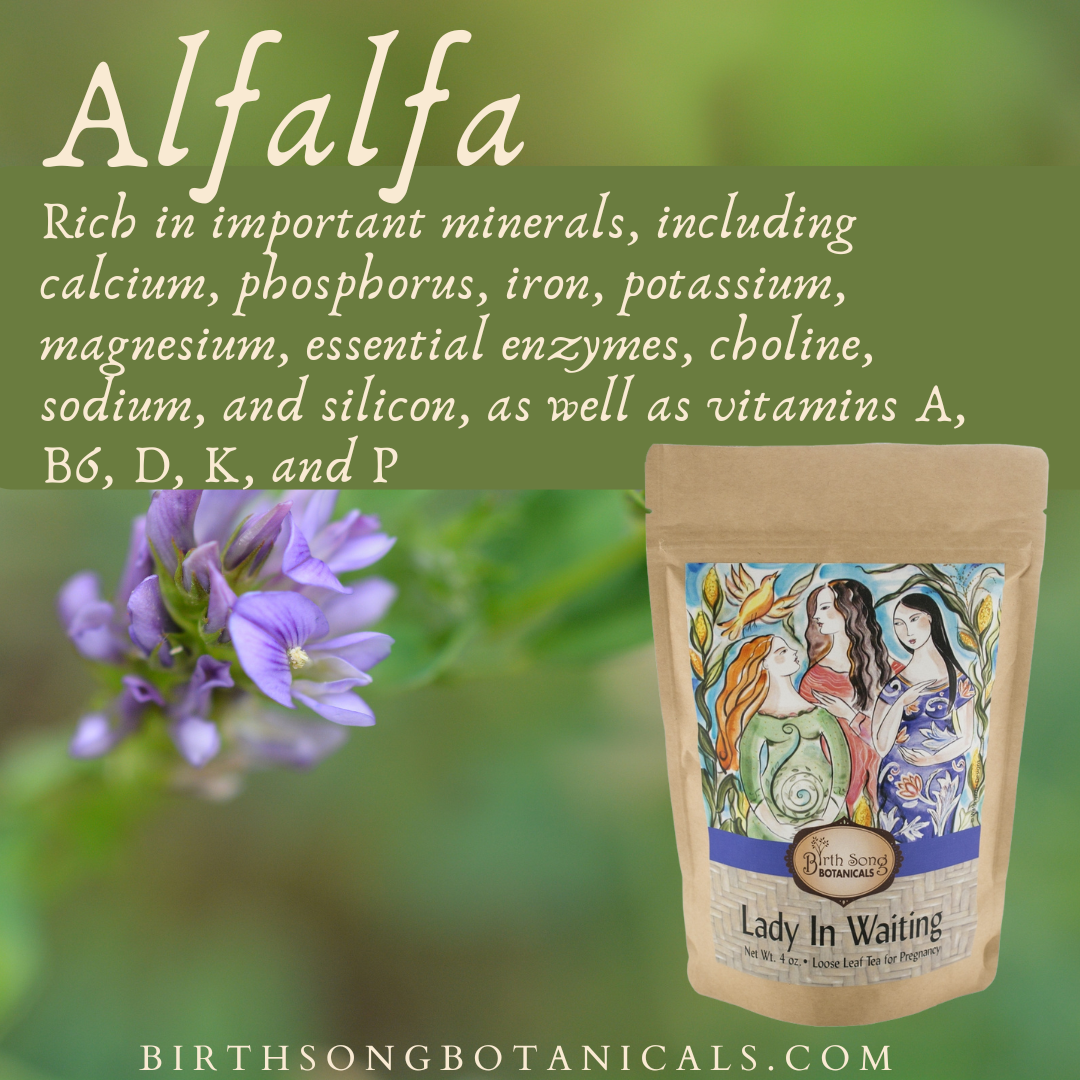 Lady in Waiting Herbal Pregnancy Tea Supports a Healthy Pregnancy* with Organic Red Raspberry Leaf 4 oz. - My American Goods
