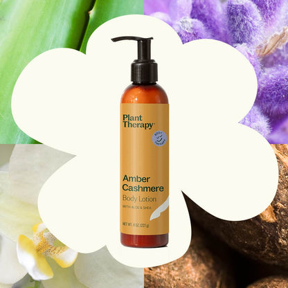 Amber Cashmere Body Lotion with Aloe and Shea