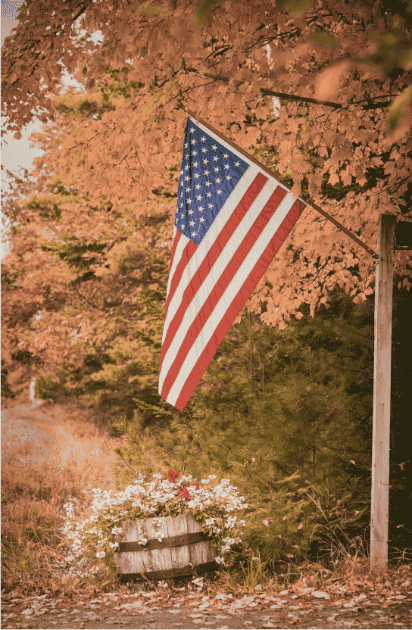 American flag hanging from a tree with autumn foliage and flowers below