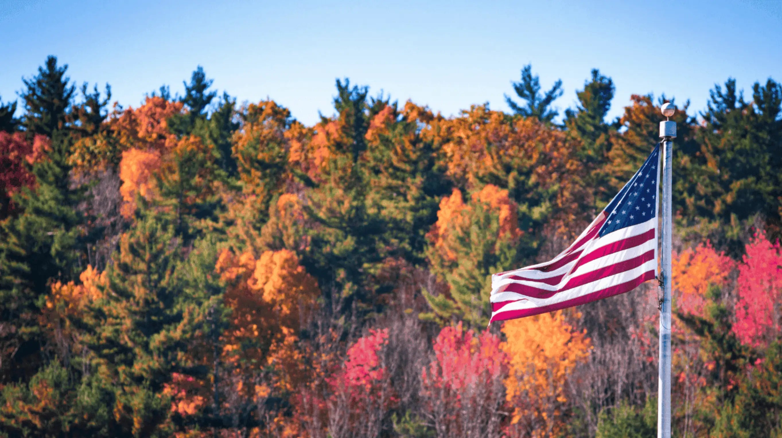 American flag waving in front of a forest with autumn foliage