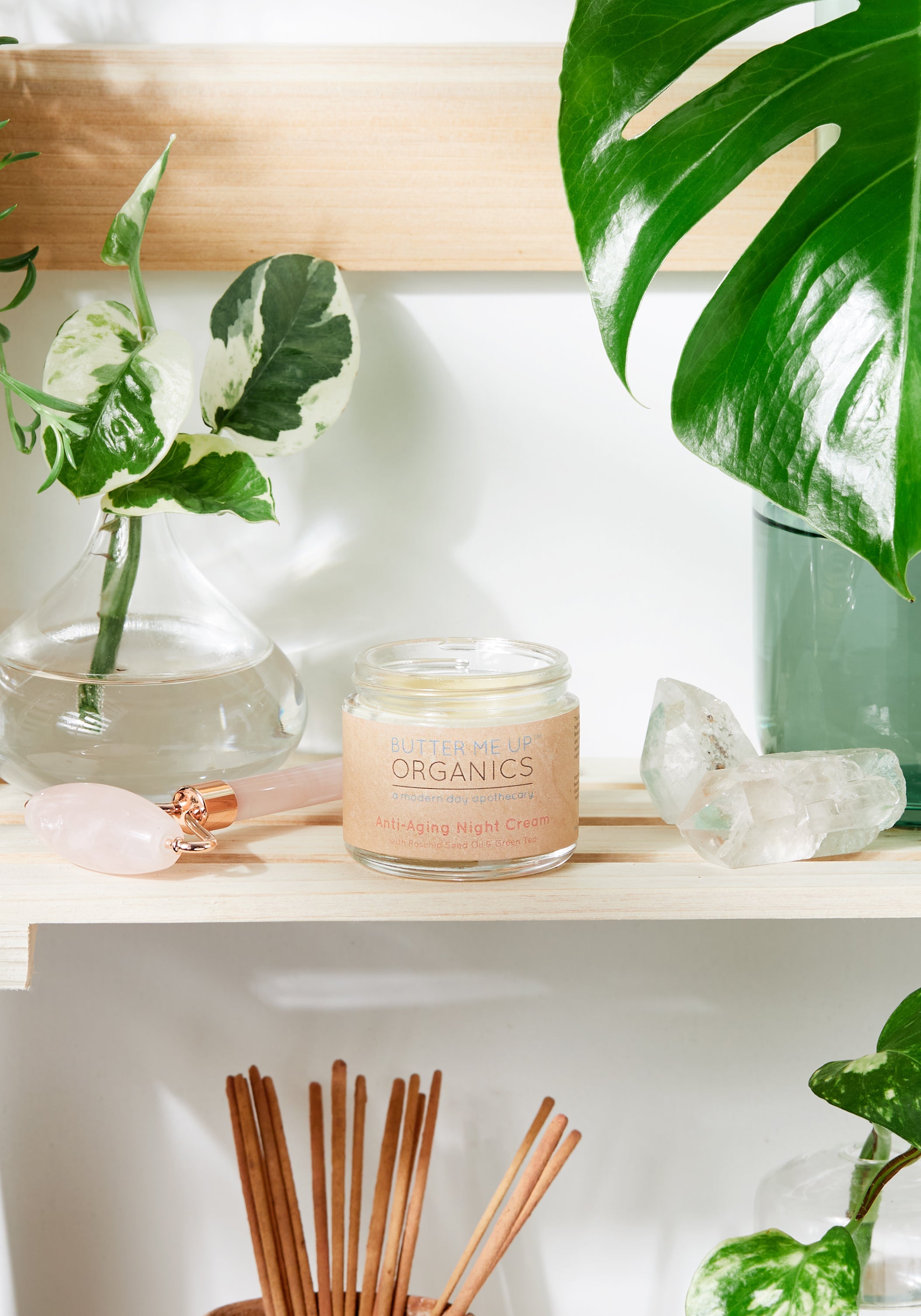Green Tea Anti-Aging Night Cream