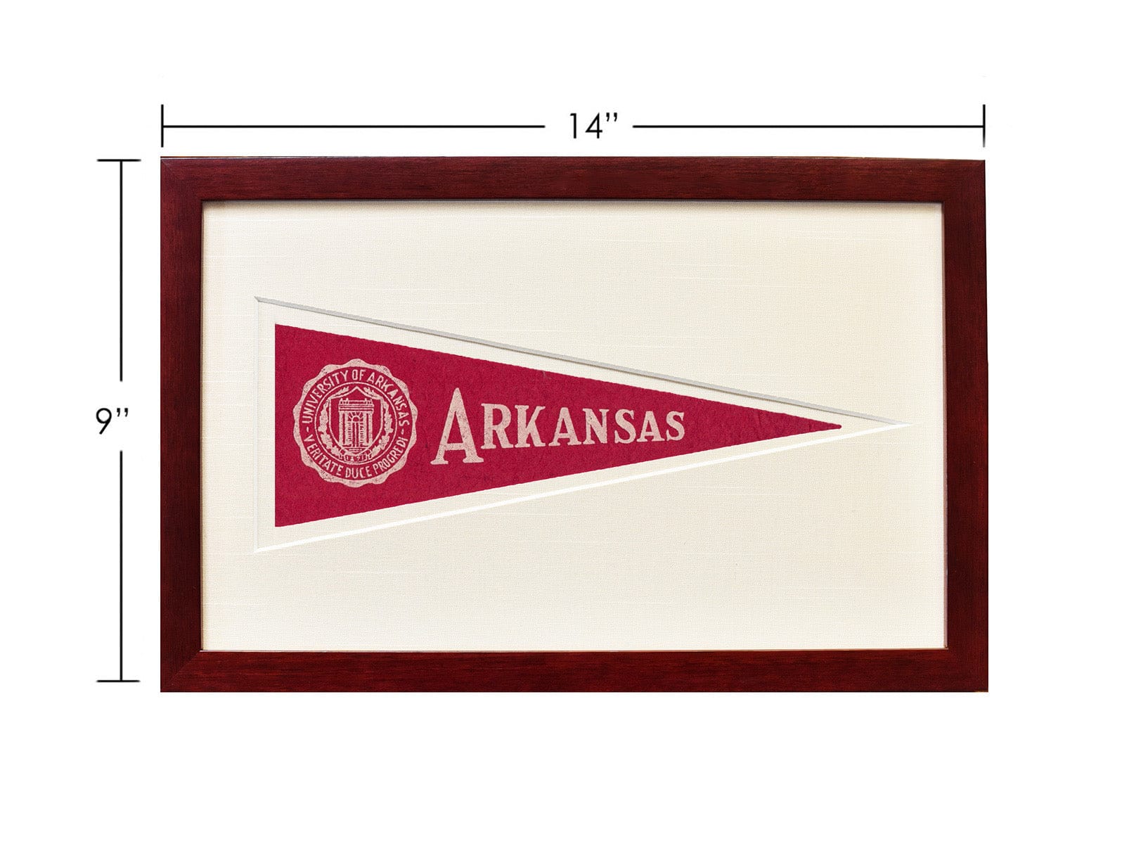 Americana Memories Vintage University of Arkansas Hormel Pennant