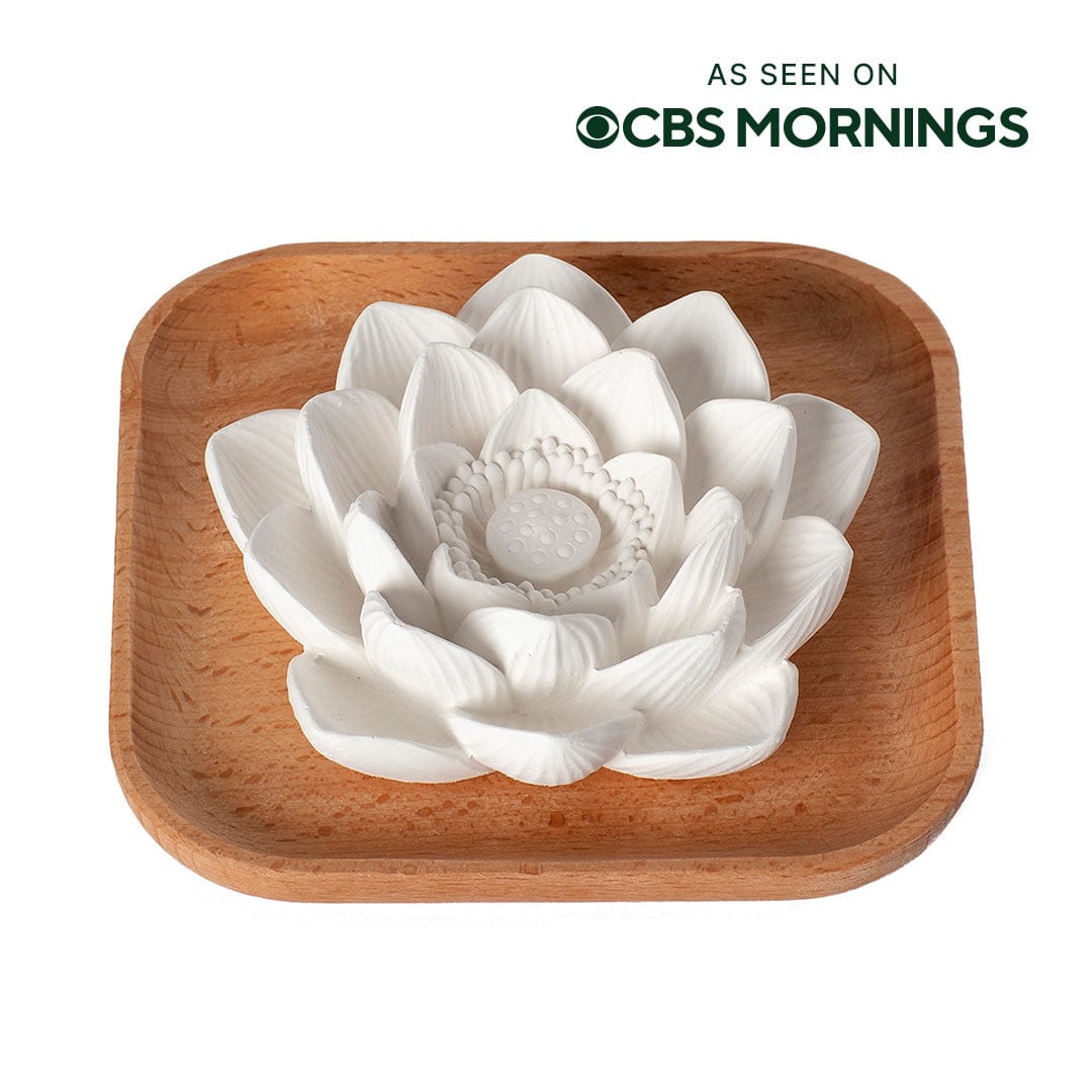 Plant Therapy Diffuser Passive Lotus Diffuser